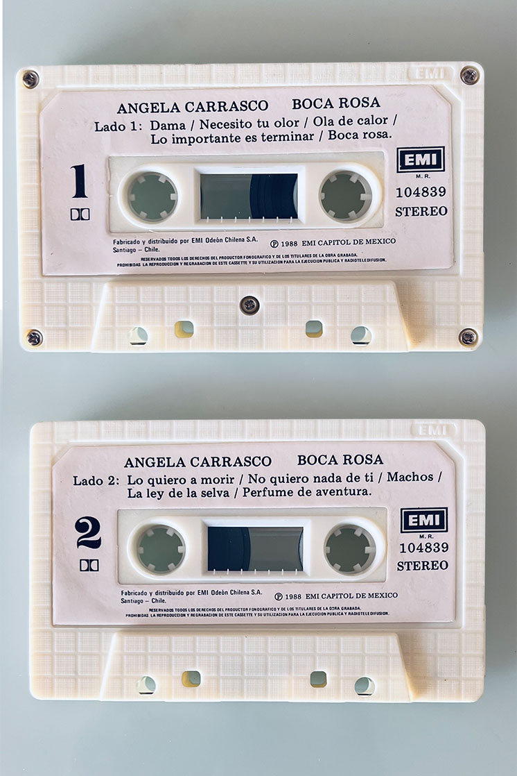 ANGELA CARRASCO BOCA ROSA - vista posterior
