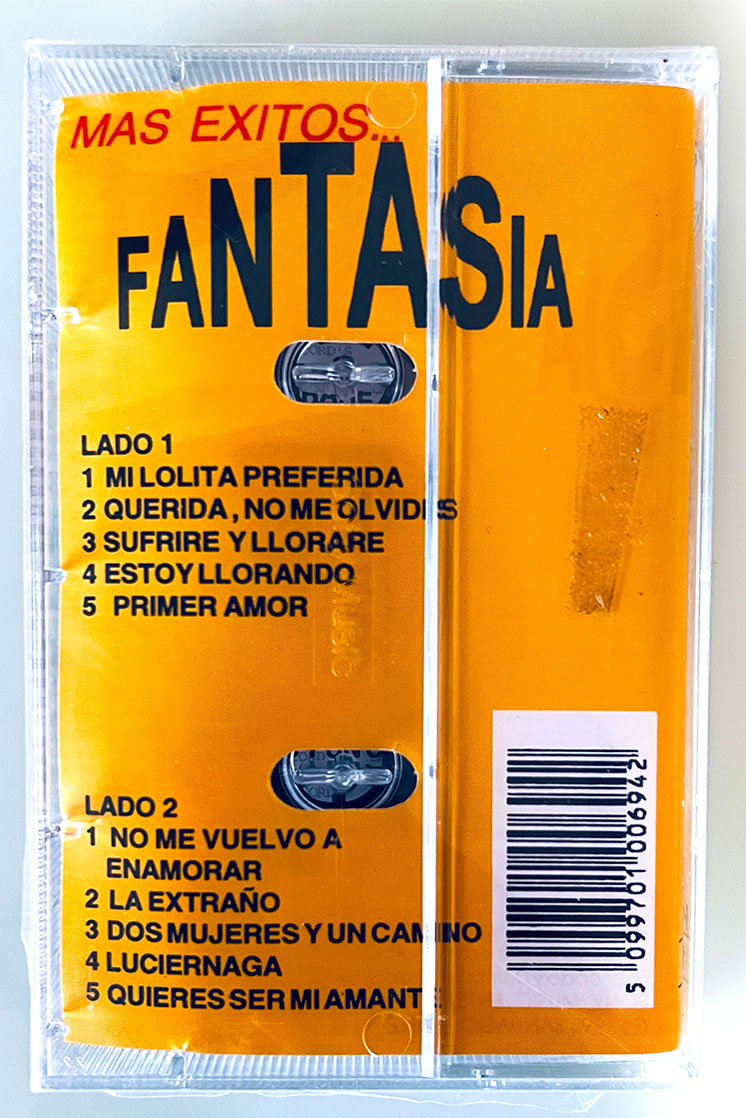 FANTASÍA MÁS EXITOS - vista posterior