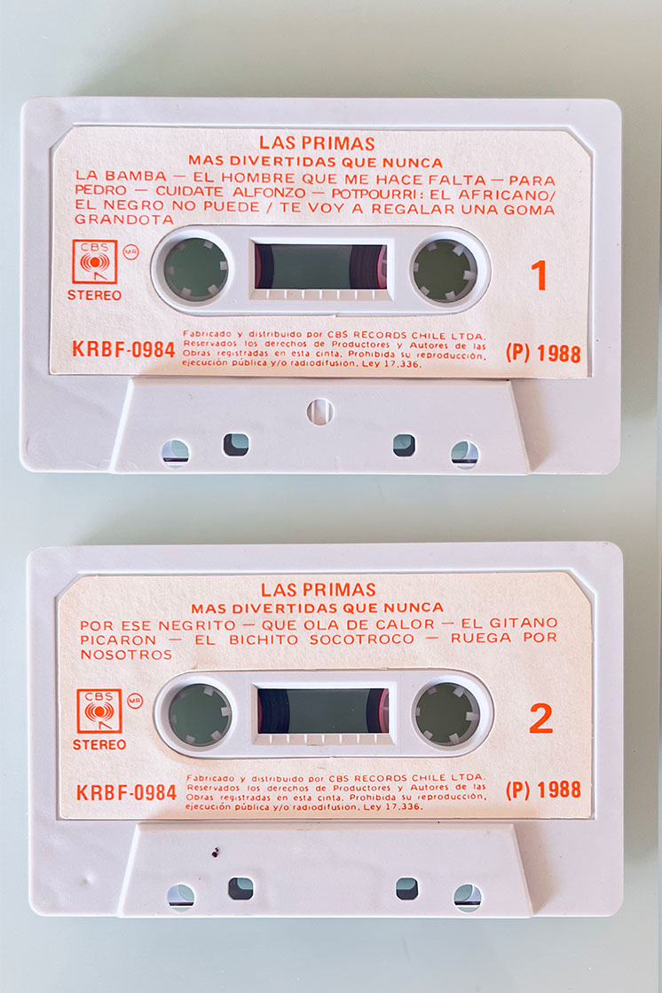 LAS PRIMAS MAS DIVERTIDAS QUE NUNCA - vista posterior