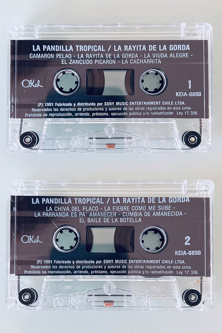 LA PANDILLA TROPICAL LA RAYITA DE LA GORDA - vista posterior