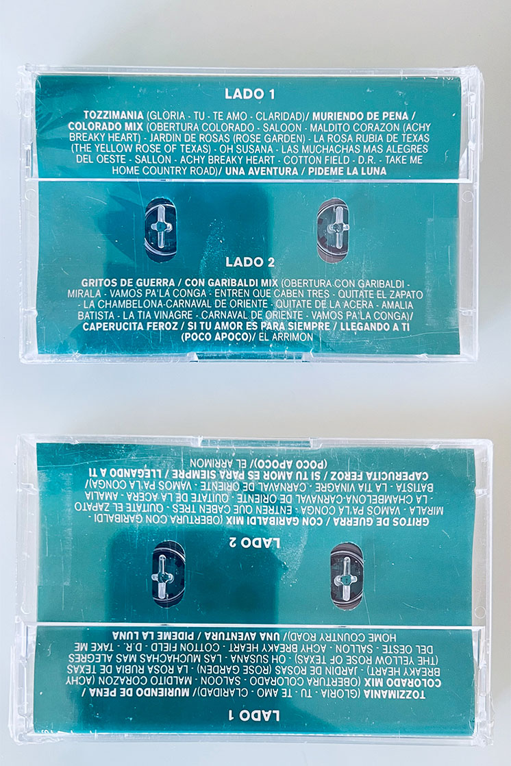GARIBALDI GRITOS DE GUERRA, GRITOS DE AMOR - vista posterior
