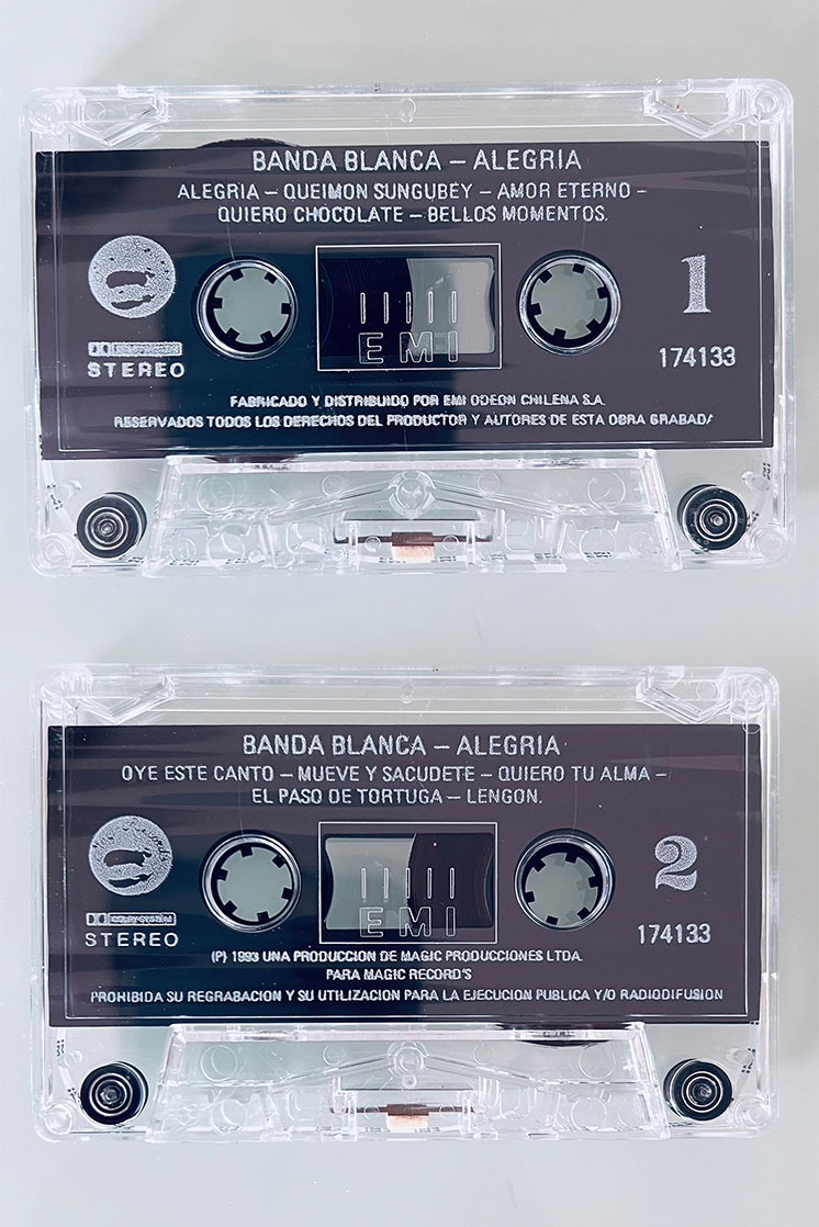 BANDA BLANCA ALEGRÍA - vista posterior