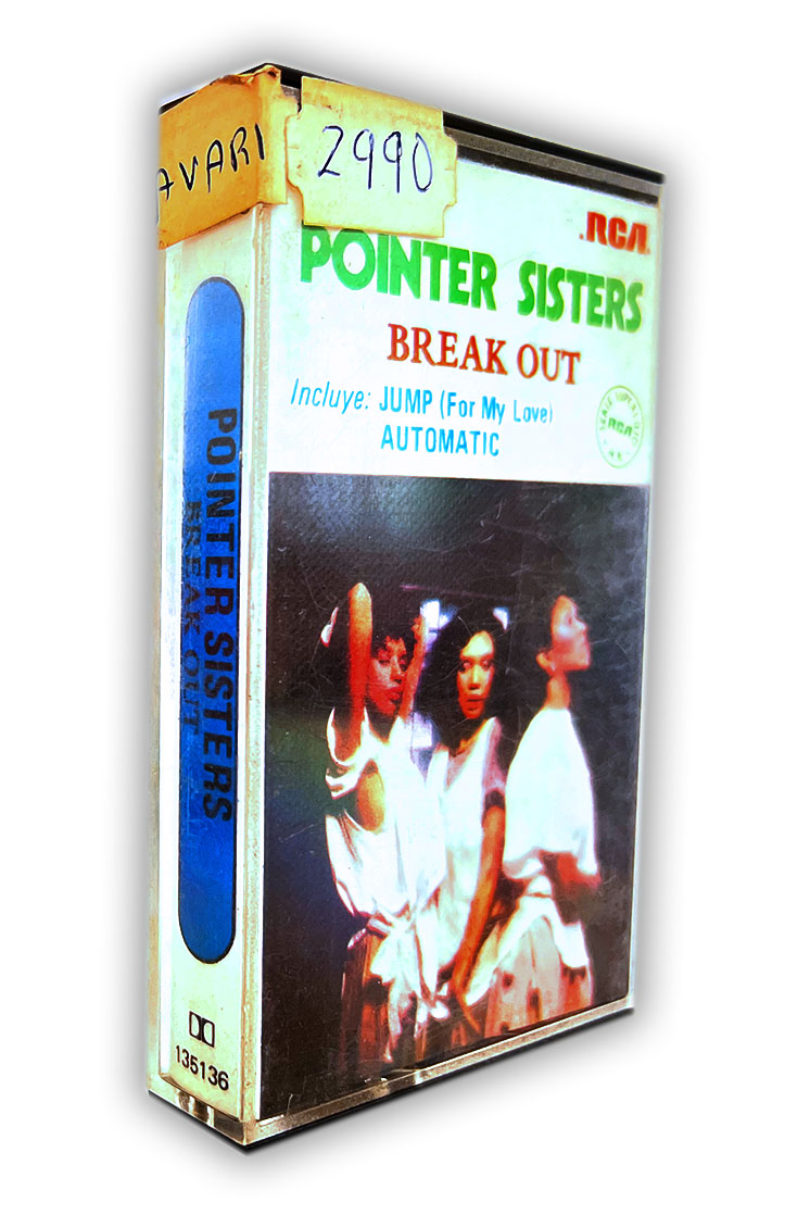 PINTER SISTERS BREAK OUT