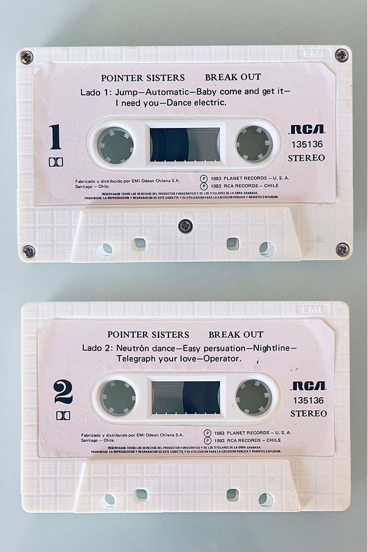 PINTER SISTERS BREAK OUT - vista posterior