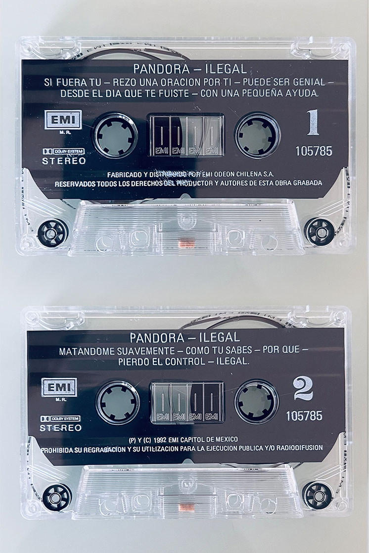 PANDORA ILEGAL - vista posterior