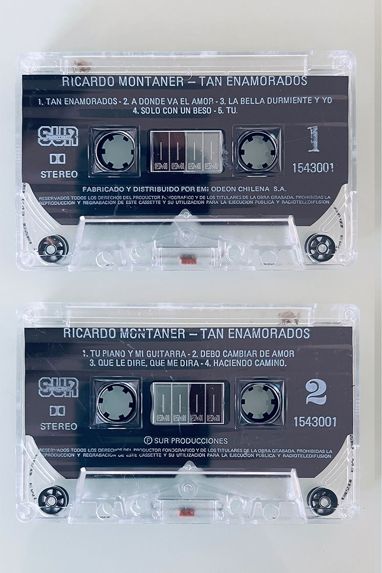 RICARDO MONTANER TAN ENAMORADOS - vista posterior