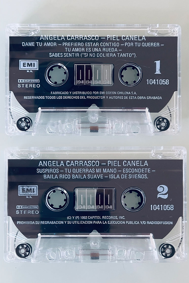ANGELA CARRASCO PIEL CANELAS - vista posterior