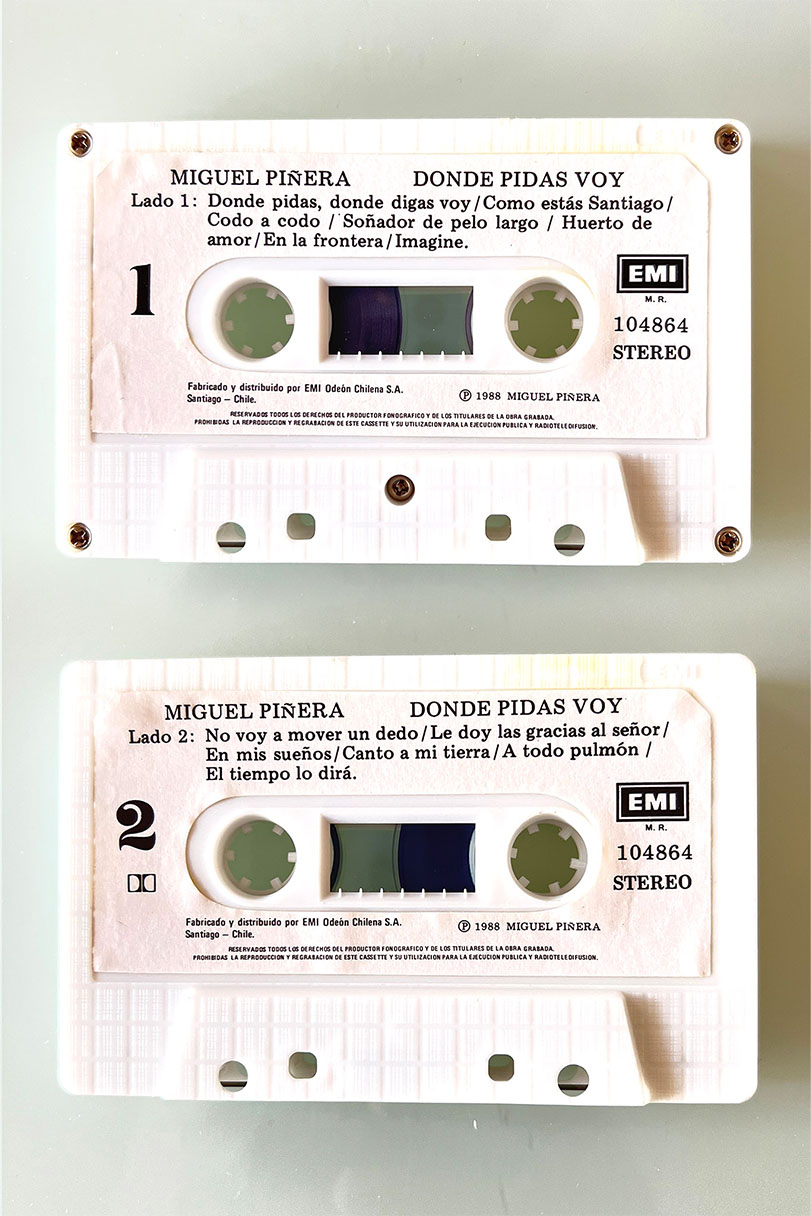 MIGUEL PIÑERA DONDE PIDAS VOY - vista posterior