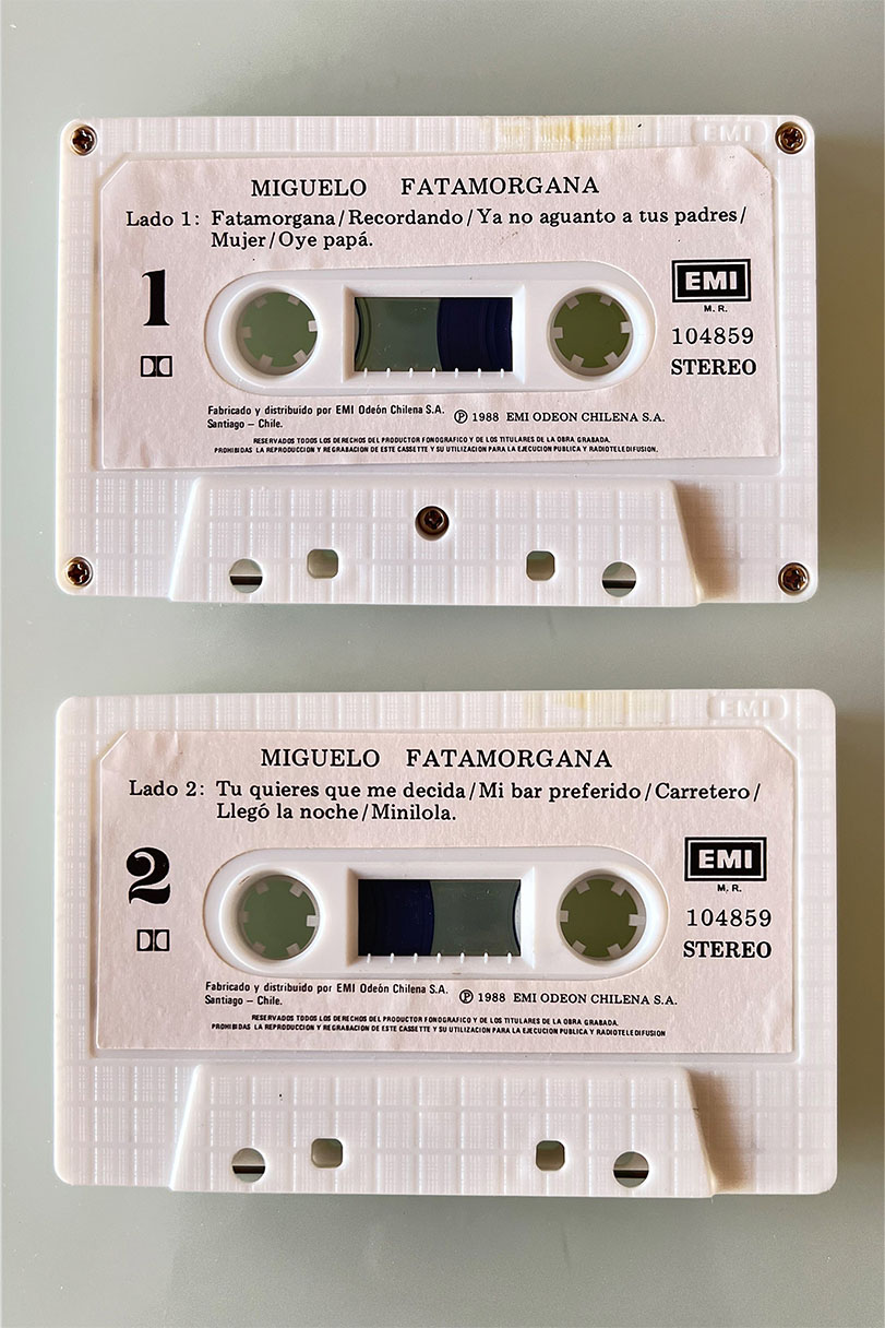 MIGUELO FATAMORGANA - vista posterior