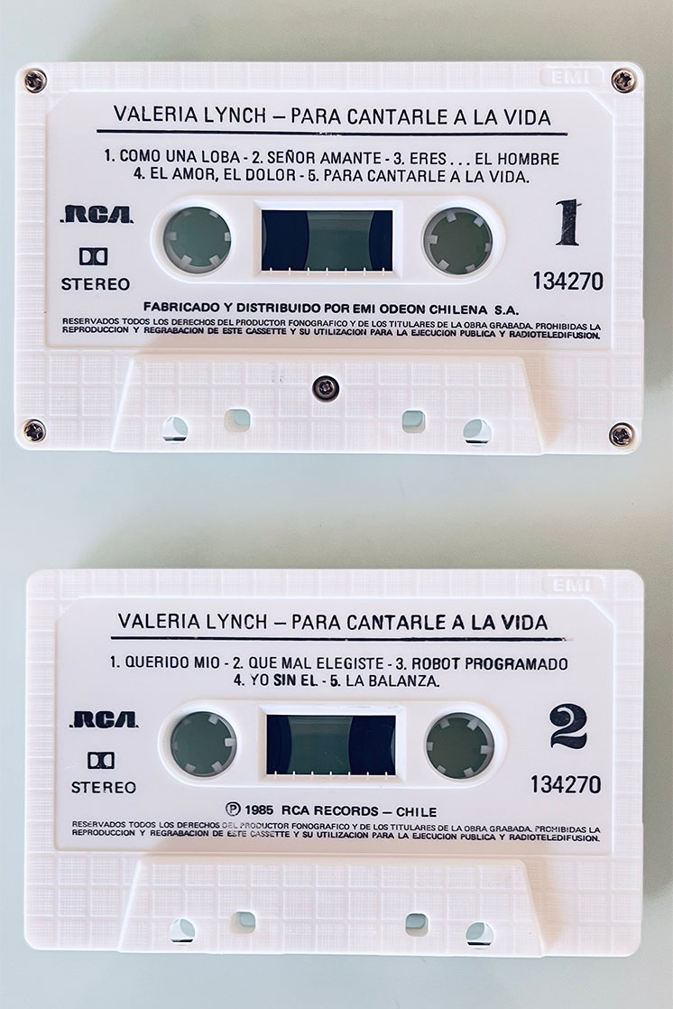 VALERIA LYNCH PARA CANTARLE A LA VIDA - vista posterior