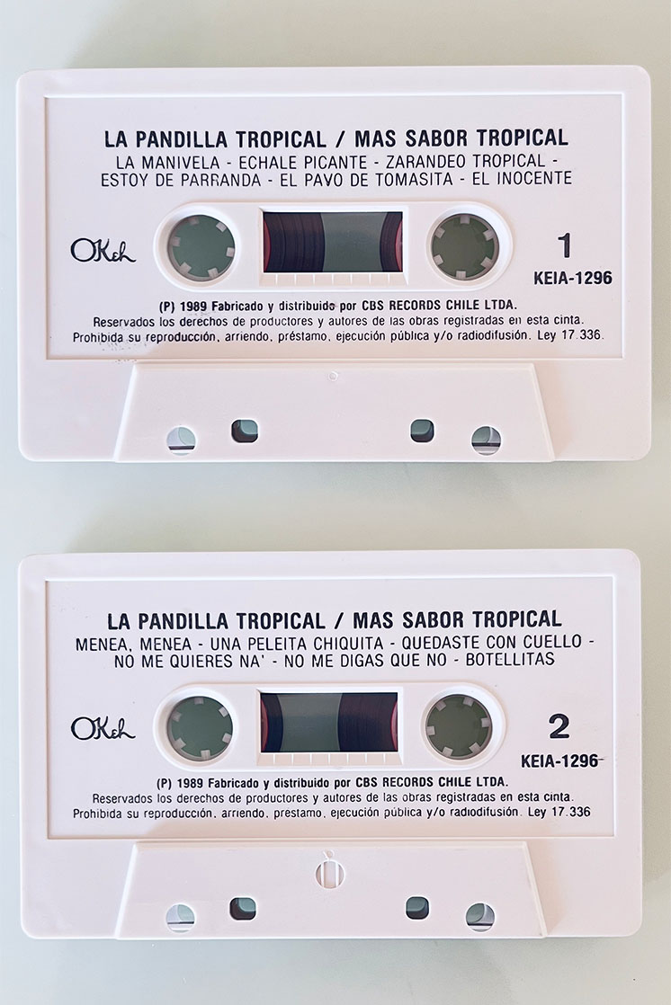 LA PANDILLA TROPICAL MAS SABOR TROPICAL - vista posterior