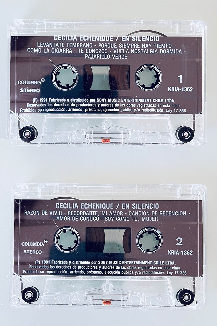 CECILIA ECHENIQUE EN SILENCIO - vista posterior