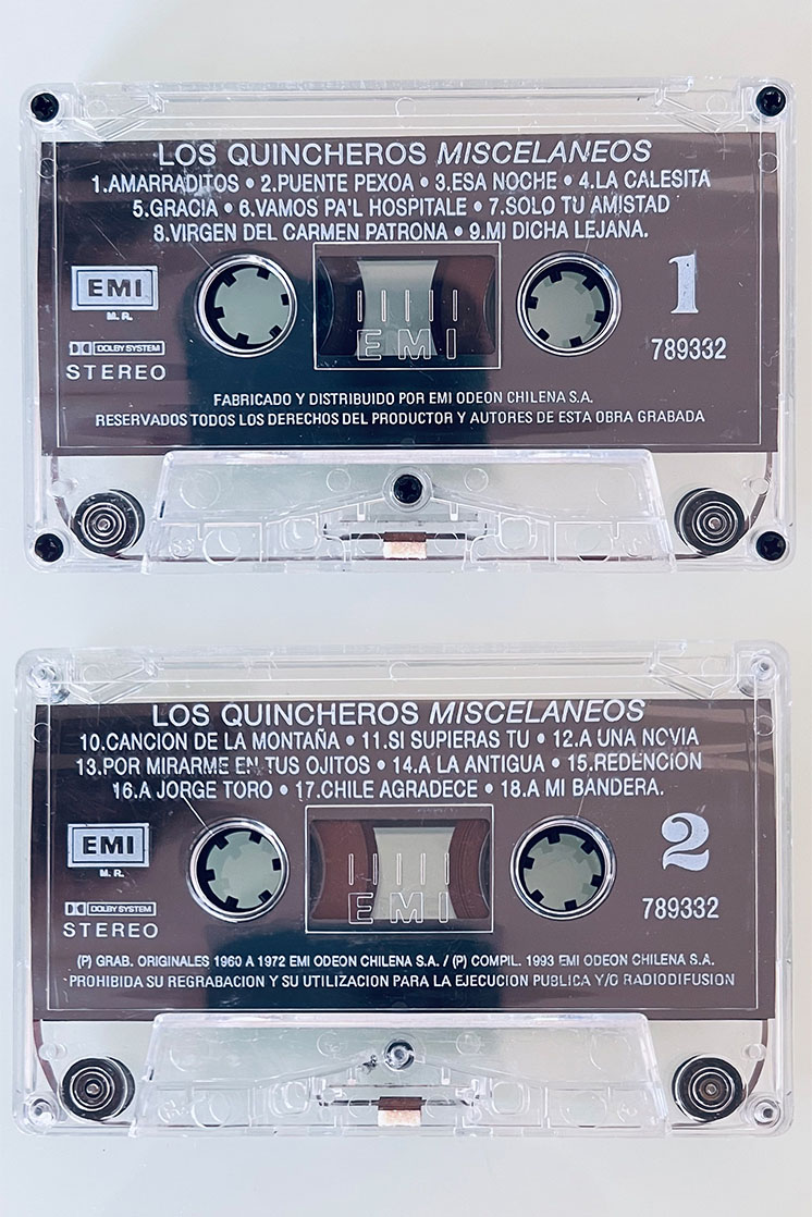 LOS QUINCHEROS MISCELÁNEOS - vista posterior