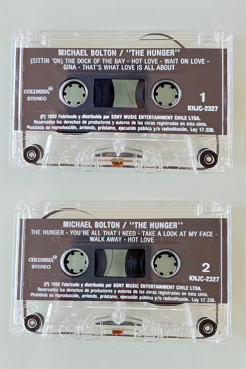 MICHAEL BOLTON THE HUNGER - vista posterior
