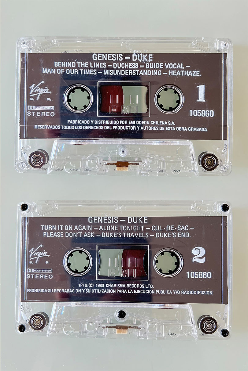 GENESIS DUKE - vista posterior