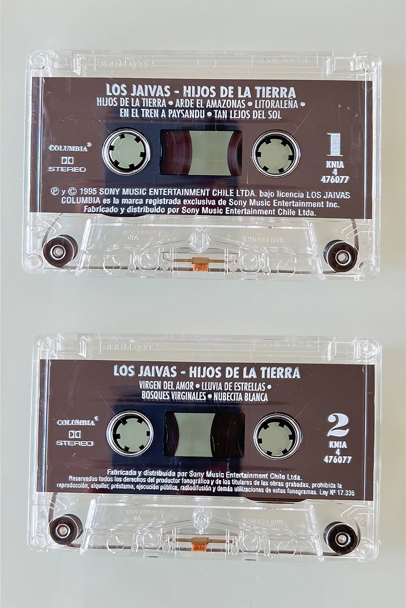 LOS JAIVAS / HIJOS DE LA TIERRA - vista posterior