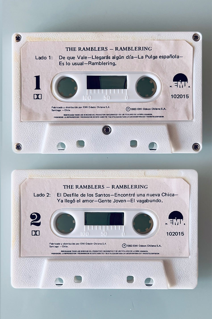 THE RAMBLERS RAMBLERING - vista posterior