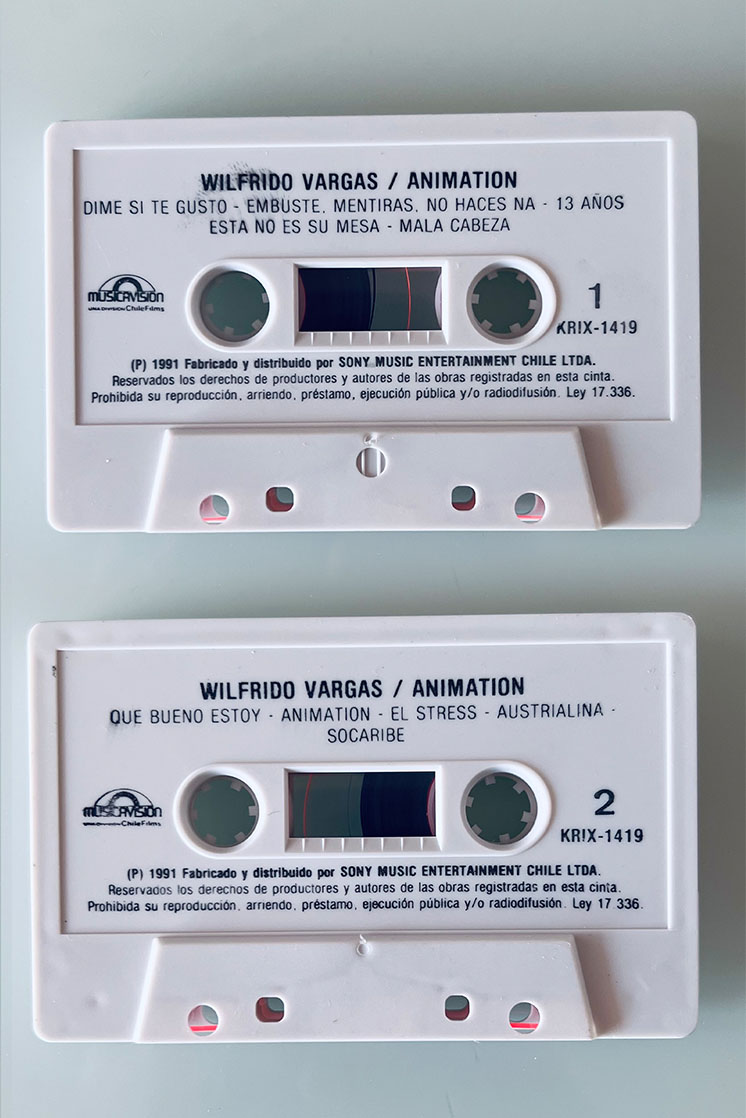 WILFRIDO VARGAS ANIMATION - vista posterior