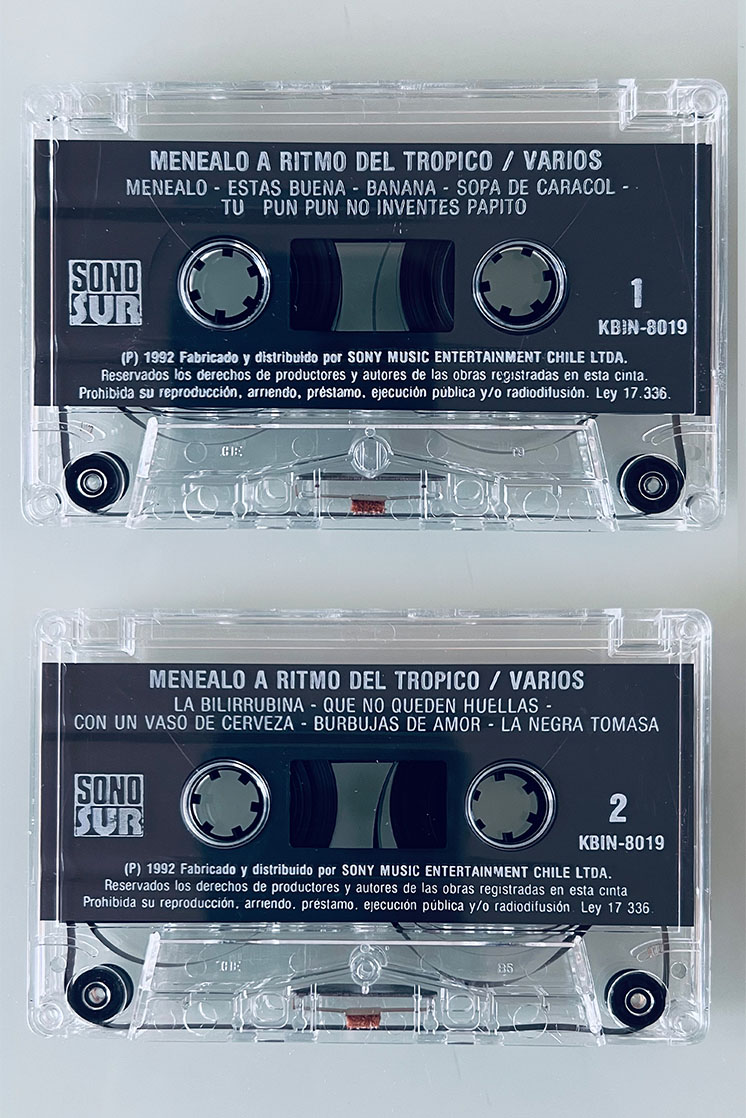 MENEALO A RITMO DEL TROPICO VARIOS - vista posterior