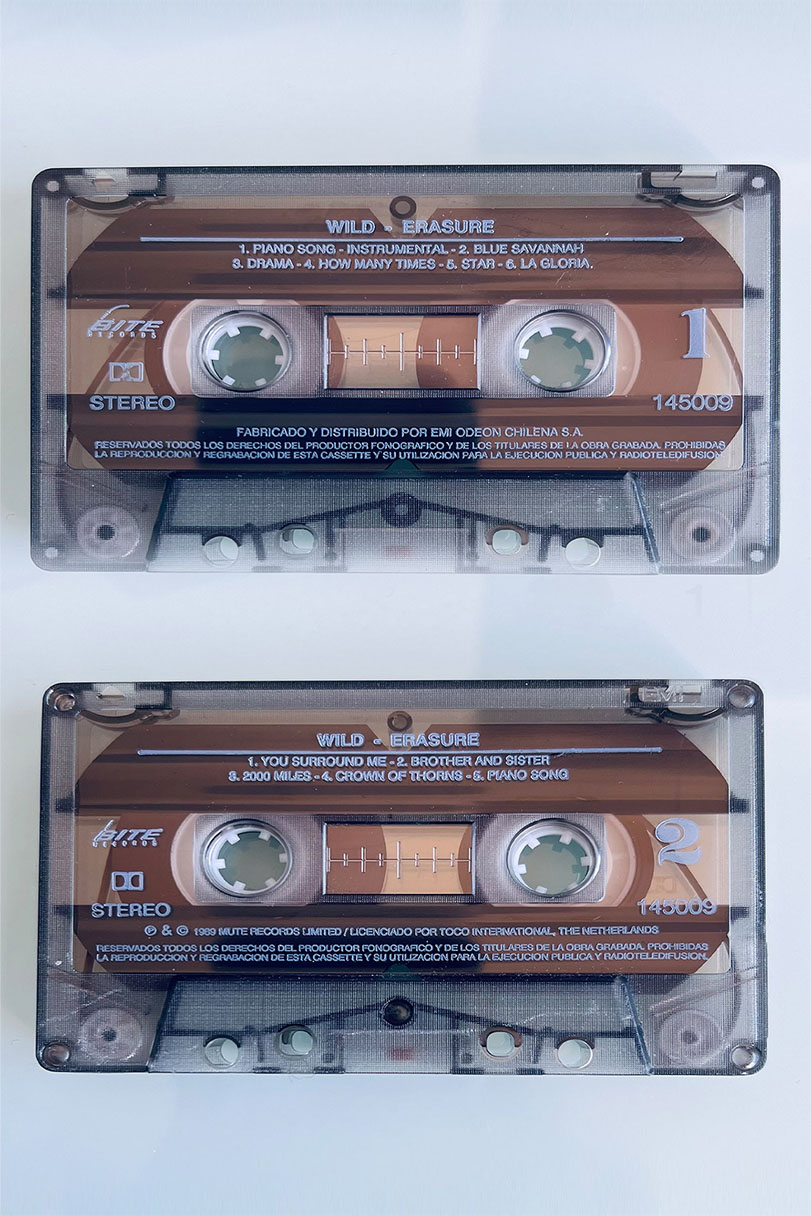 ERASURE WILD - vista posterior